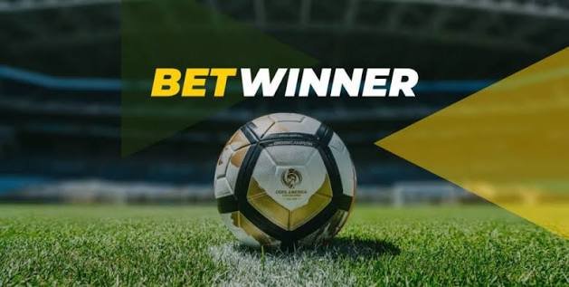 Explore the Exciting BetWinner Gambling Platform A Comprehensive Guide